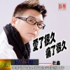 老何 - 爱了很久痛了很久