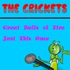 The Crickets - Great Balls of Fire