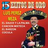 luis perez meza - Canción Mixteca