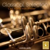 Wurttemberg Chamber Orchestra、Jörg Faerber、David Glazer - I. Allegro