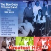 The Bee Gees Tribute Band - Staying Alive