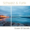 Schwarz & Funk - Take Me Home