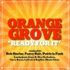 Orange Grove - Ready For It (Lumberjack Radio Edit)