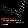 Marshall & Libex、Marshall、Libex - Turin Quality Clubbing (Flow & Zeo remix)