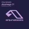 Andrew Bayer - Polylith