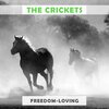 The Crickets - Baby, My Heart
