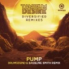 Tantrum Desire - Pump (Drumsound & Bassline Smith )(Remix)