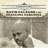 David Calzado y Su Charanga Habanera - Ay! Ay Amor