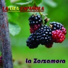 Lola Flores《La Zarzamora》[MP3/LRC]