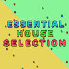 Essential House - One by One