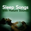 Sleep Songs with Nature Sounds - Grove Birds