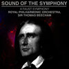 Royal Philharmonic Orchestra - A Faust Symphony, S. 108: I. Faust