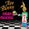 Jive Bunny And The Mastermixers - The Twist