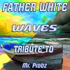 Father White - Waves (Like Mix)(Remix)