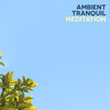 Ambient Meditation Music - Dream of the Sea