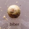 Biber - Gipsy Part One