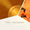The Cascades - Shy Girl