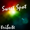 Pop Tracks - Sweet Spot