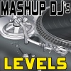 Mashup DJ's《Levels (Remix Tools For Mash-Ups)》[MP3/LRC]