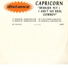 capricorn - Spanish Fly (Original Mix)
