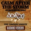 Ameritz Audio Karaoke《Calm After the Storm (Eurovision 2014)(In the Style of the Common Linnets)(Karaoke Version)》[MP3/LRC]