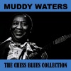 Muddy Waters《Rollin' Stone》[MP3/LRC]