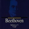 Prague Festival Orchestra、Der Haggen Orchestra、Ferdinand Cannonobich、Ludwig van Beethoven - Allegro ma non troppo