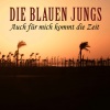 Die Blauen Jungs《Auch für mich kommt die Zeit》[MP3/LRC]