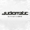 Audiomatic - Dj-Mix Winter 2012