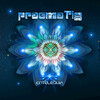 Pragmatix - Nacimiento