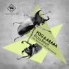 Fog & Arara - Ross Beef (original mix)