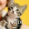 Derek Howell - Stride (Original Mix)