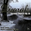 Denis Zsoltay - Slavonic Dances in E Minor, Op.46: No.2 - Allegretto scherzando