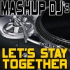 Mashup DJ's - Let’s Stay Together (Re-Mix Tool)