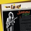 Carlos Santana - Evil Ways (Live)