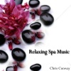 Chris Conway - Best Relaxing Spa Music