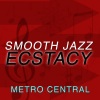 Metro Central《The Earth Shakes》[MP3/LRC]