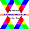 Aaron Neville《Baby I'm a Want You》[MP3/LRC]