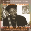 anthony johnson - Tribulation (Tribute to Dennis Brown)