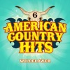 American Country Hits - Wildflower (As Made Famous By The JaneDear Girls)