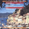 Marko Munih、Radio Symphony Orchestra Ljubljana - I. Adagio—Allegro non troppo