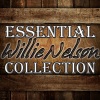 Willie Nelson - If You Got The Money I've Got The Time (Live)