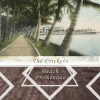 The Crickets - Just This Once