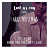 Harry Wolfman - Booty Call