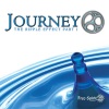 Journey《Surfing Bird》[MP3/LRC]