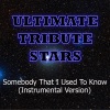 Ultimate Tribute Stars (终极明星致敬) - Gotye feat. Kimbra - Somebody That I Used To Know (InstrumentalVersion)