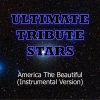 Ultimate Tribute Stars (终极明星致敬) - Blake Shelton & Miranda Lambert - America The Beautiful (Instrumental Version)