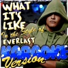Ameritz - Karaoke - What It's Like (In the Style of Everlast)(Karaoke Version)