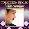 Pepe Aguilar《Salado》[MP3/LRC]