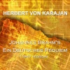 Herbert von Karajan、Wiener Philharmoniker - Ihr Habt Nun Traurigkeit